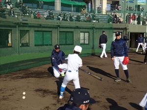 さらに賑わいを増したオリックスキャンプ 2020年 宮崎春季キャンプ特設サイト オリックスバファローズ